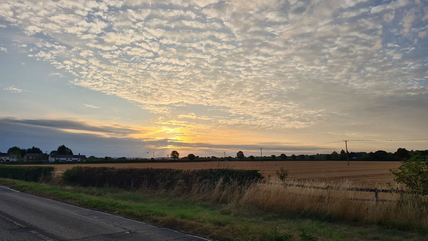 Weston Turville -Tring 20k early morning loop