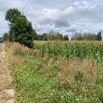 Foto 3 di questo percorso