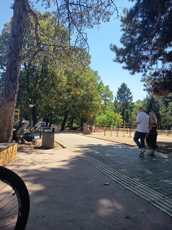 Route from Tomaki Dimitrovski to park