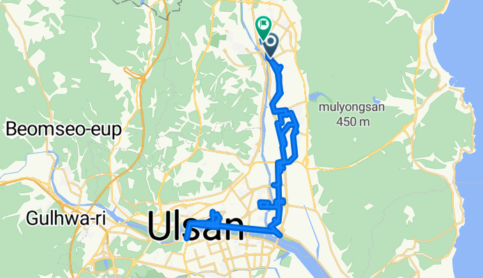 호계로, 울산광역시에서 신천동, 울산광역시까지