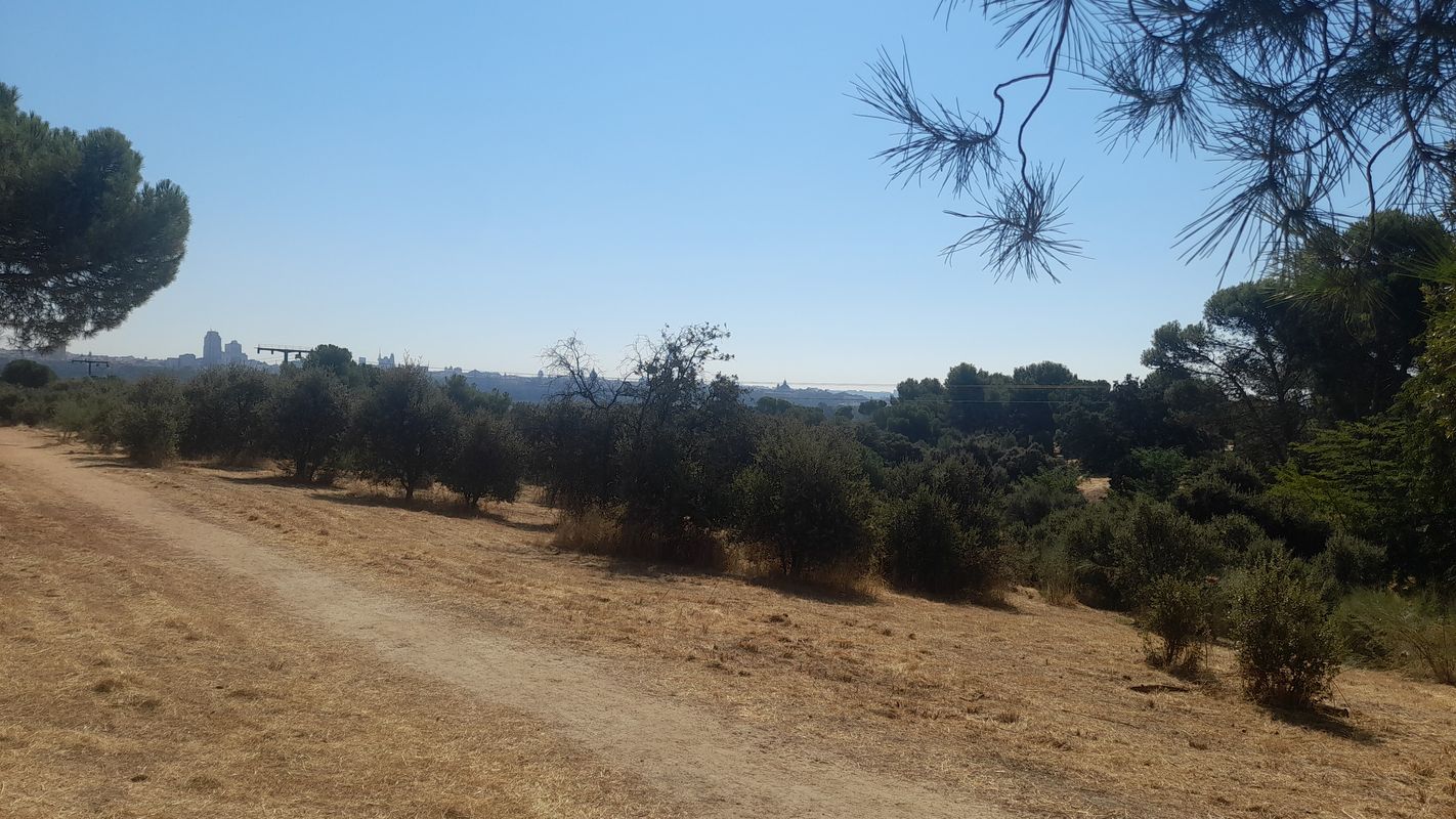 odajos a Avenida de Rodajos