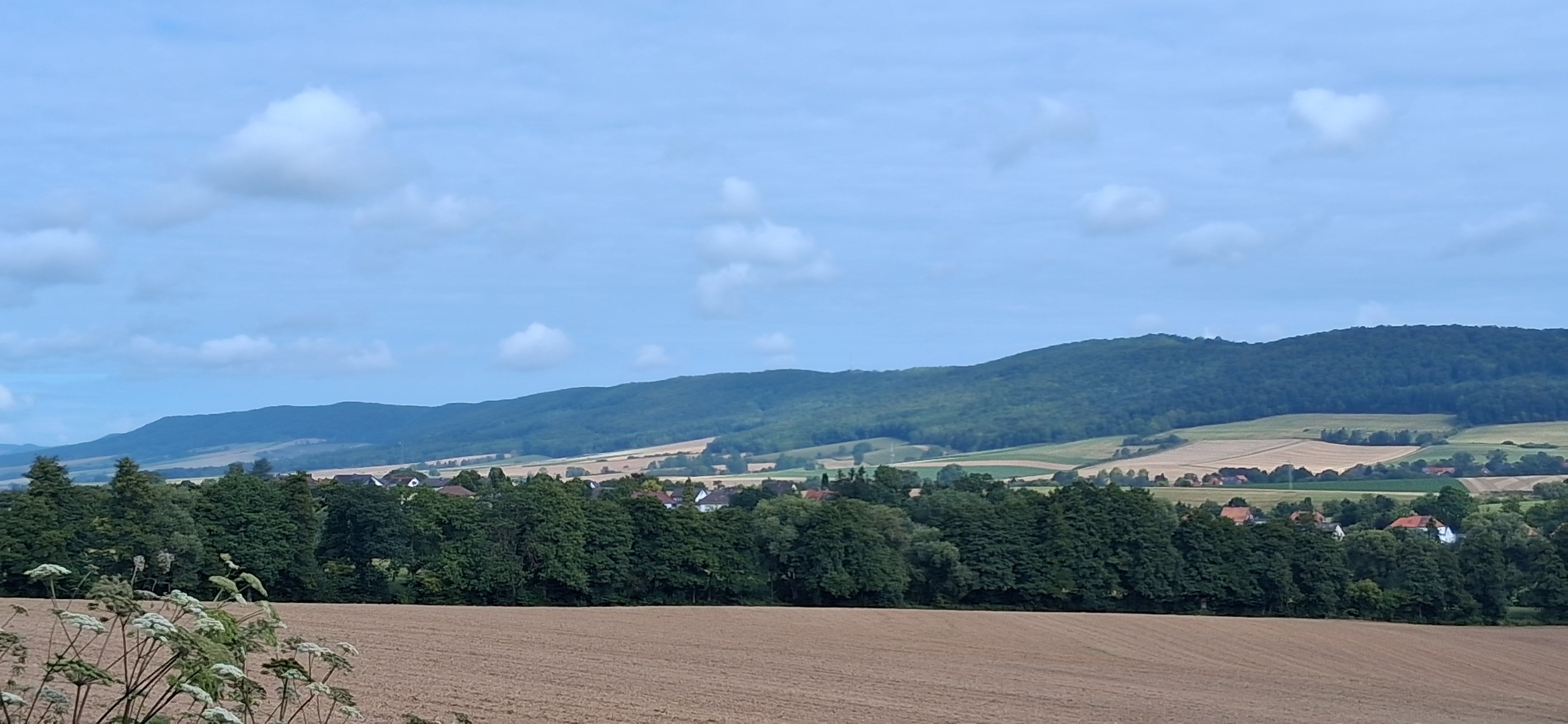 Eichenstraße nach Eichenstraße