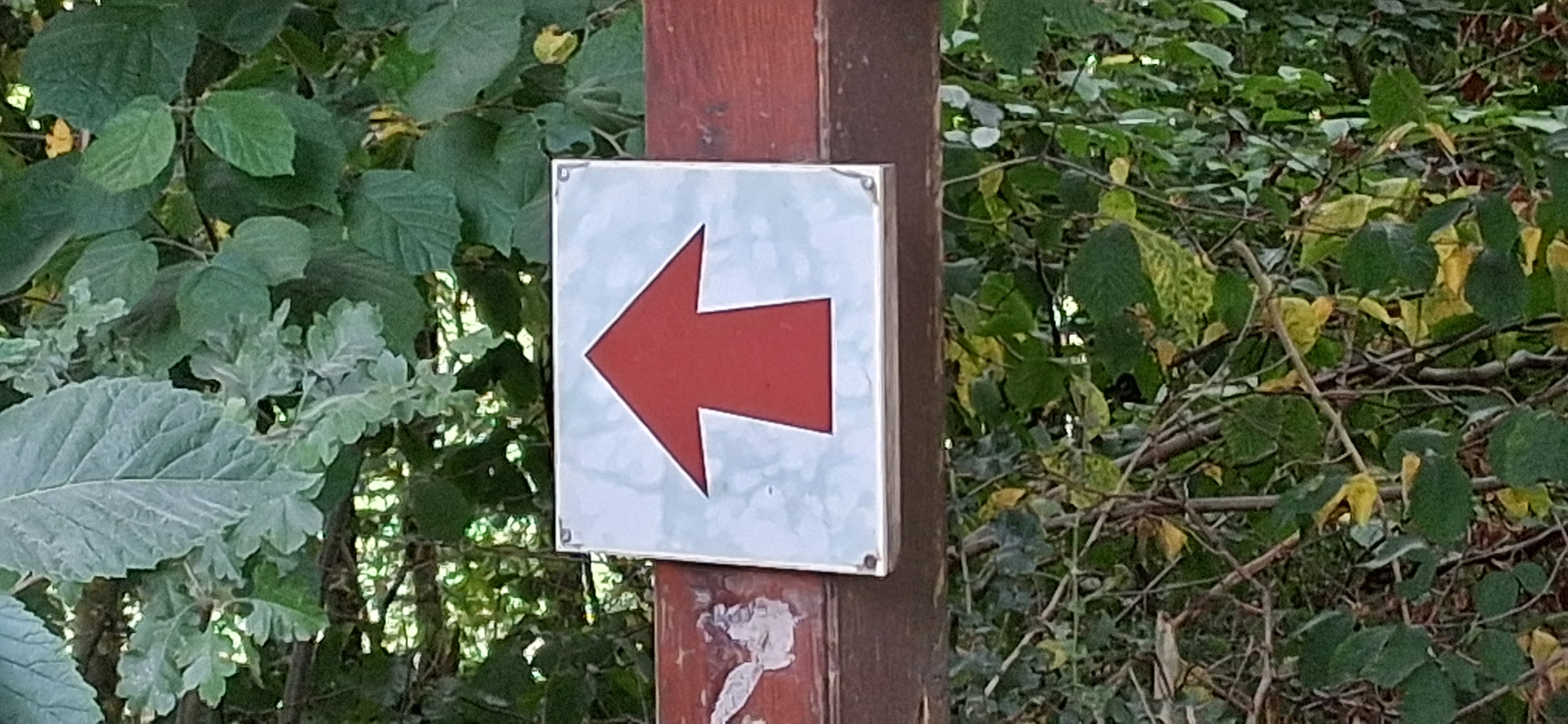 Eichenstraße nach Eichenstraße