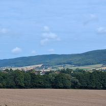 Eichenstraße nach Eichenstraße