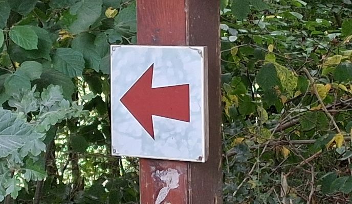 Foto 2 der Bikemap-Route "Eichenstraße nach Eichenstraße"
