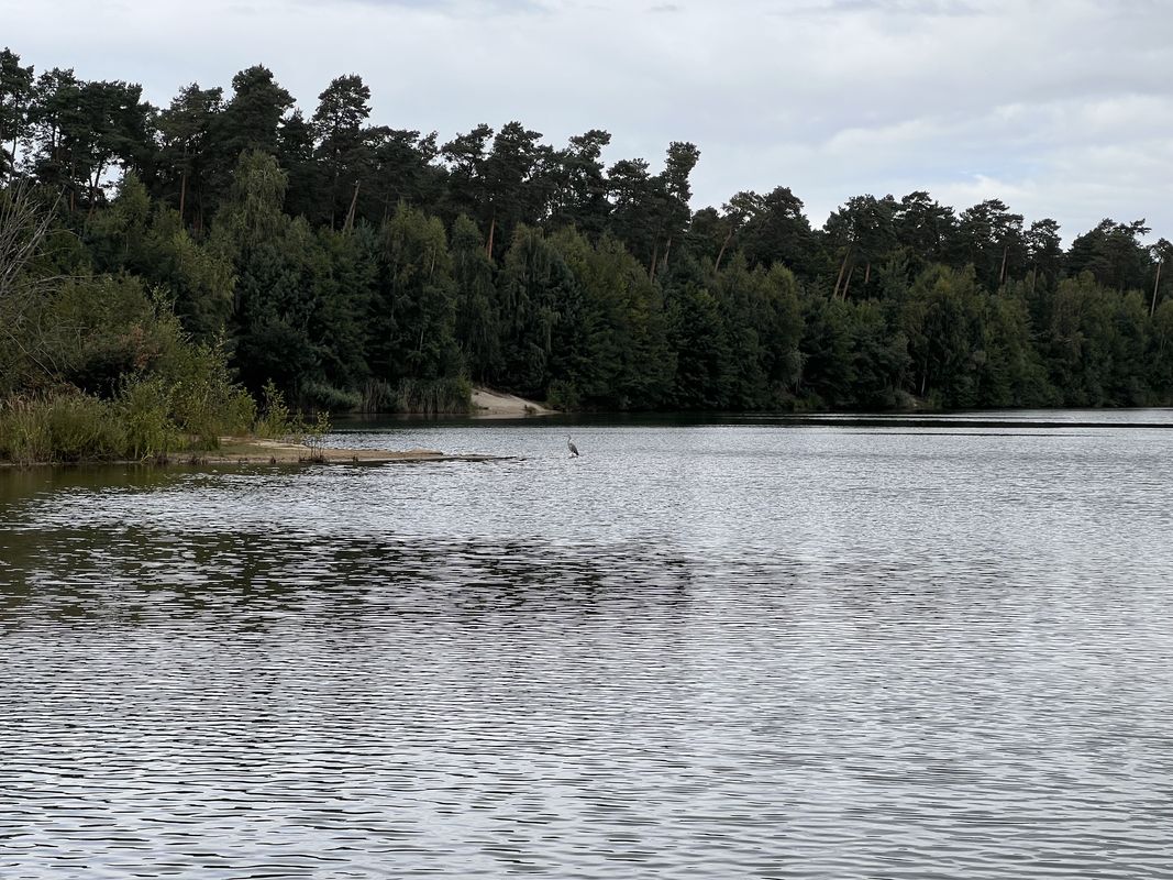 Haseldamm, Velpke nach Mittelweg, Velpke