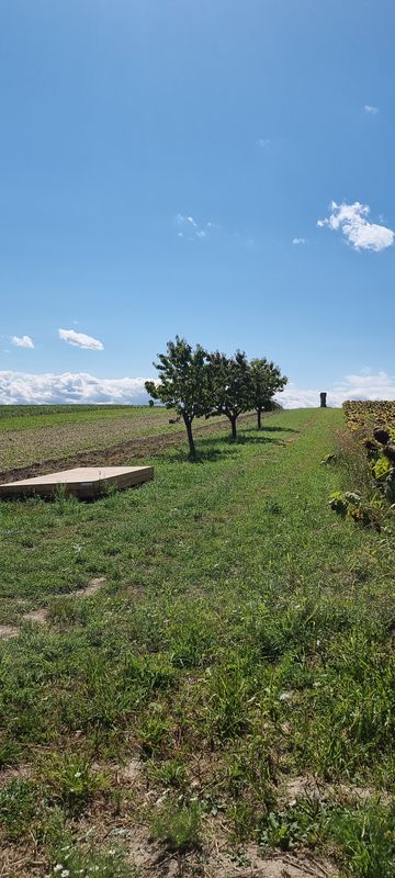 Neufeld/Leitha Bahnhof (Bahnhofstraße) nach Lichtenwörther Gasse