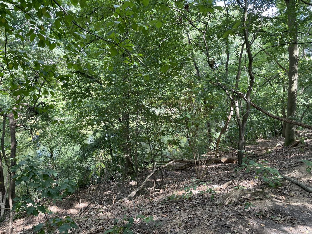 Brusselstraat, Breda do Brusselstraat, Breda