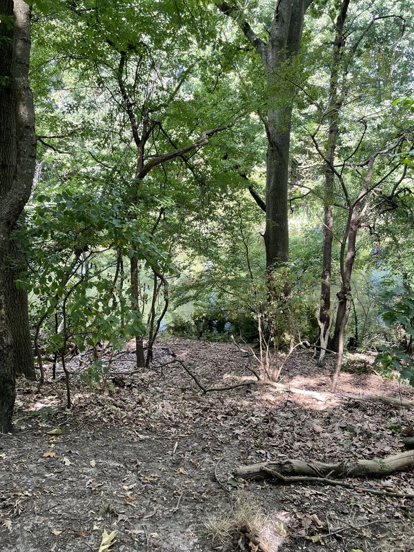 Brusselstraat, Breda do Brusselstraat, Breda