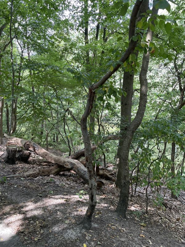 Brusselstraat, Breda do Brusselstraat, Breda