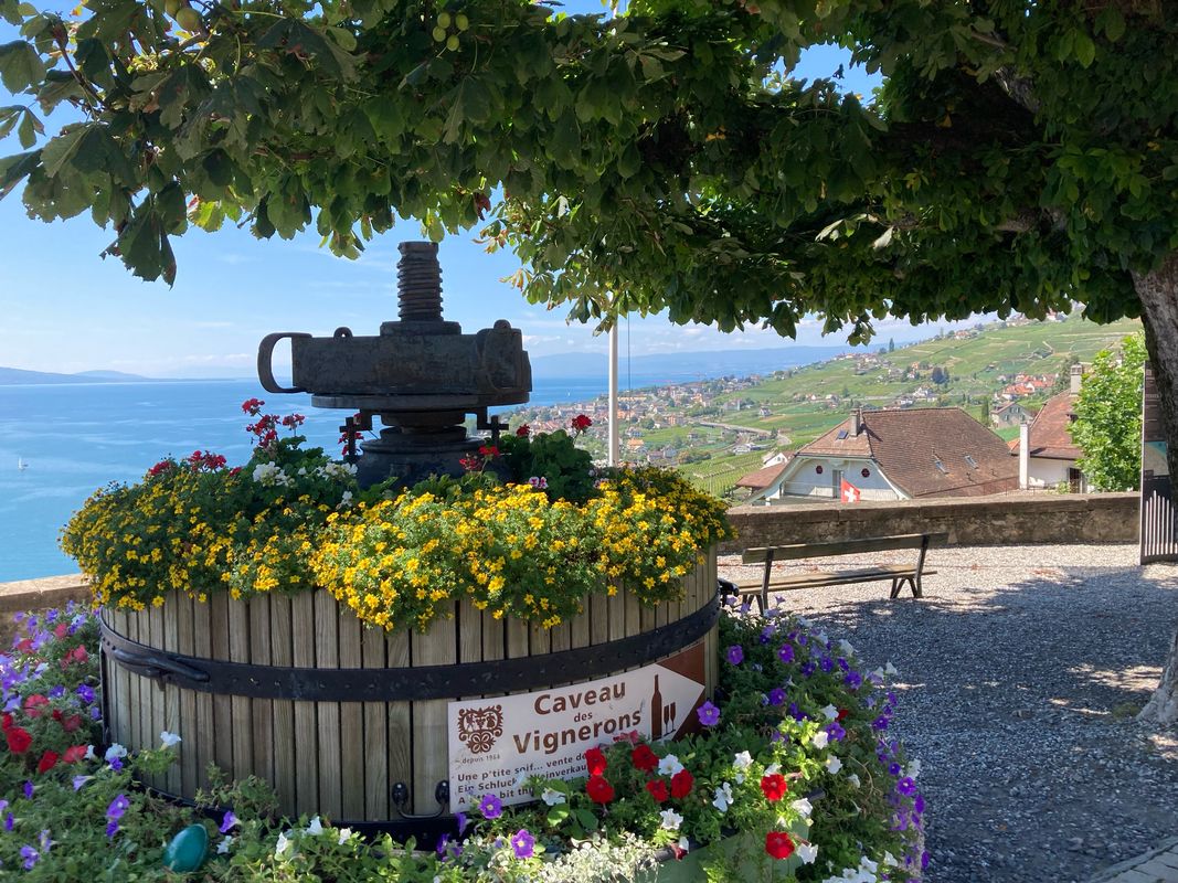 Lausanne-Corniche-Lac de Bret-Savigny_2025.08.24