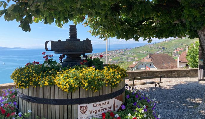 Foto 2 der Bikemap-Route "Lausanne-Corniche-Lac de Bret-Savigny_2025.08.24"