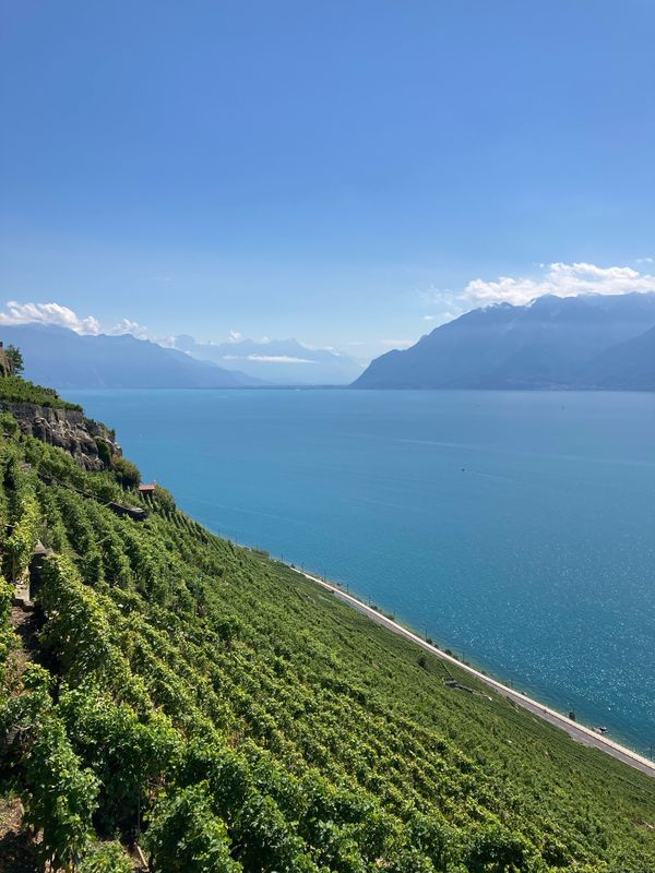 Lausanne-Corniche-Lac de Bret-Savigny_2025.08.24