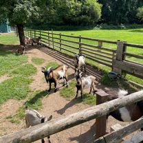 Rec Zur Steirer Hütt'n Am Gutenmann