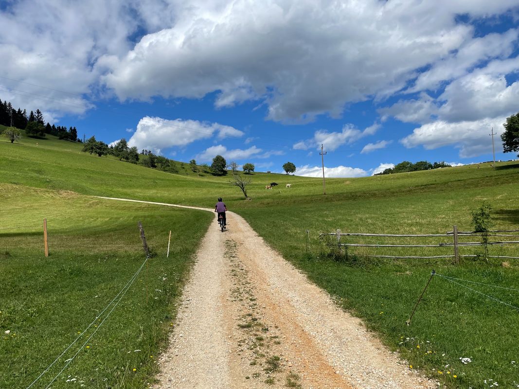 Rec Zur Steirer Hütt'n Am Gutenmann