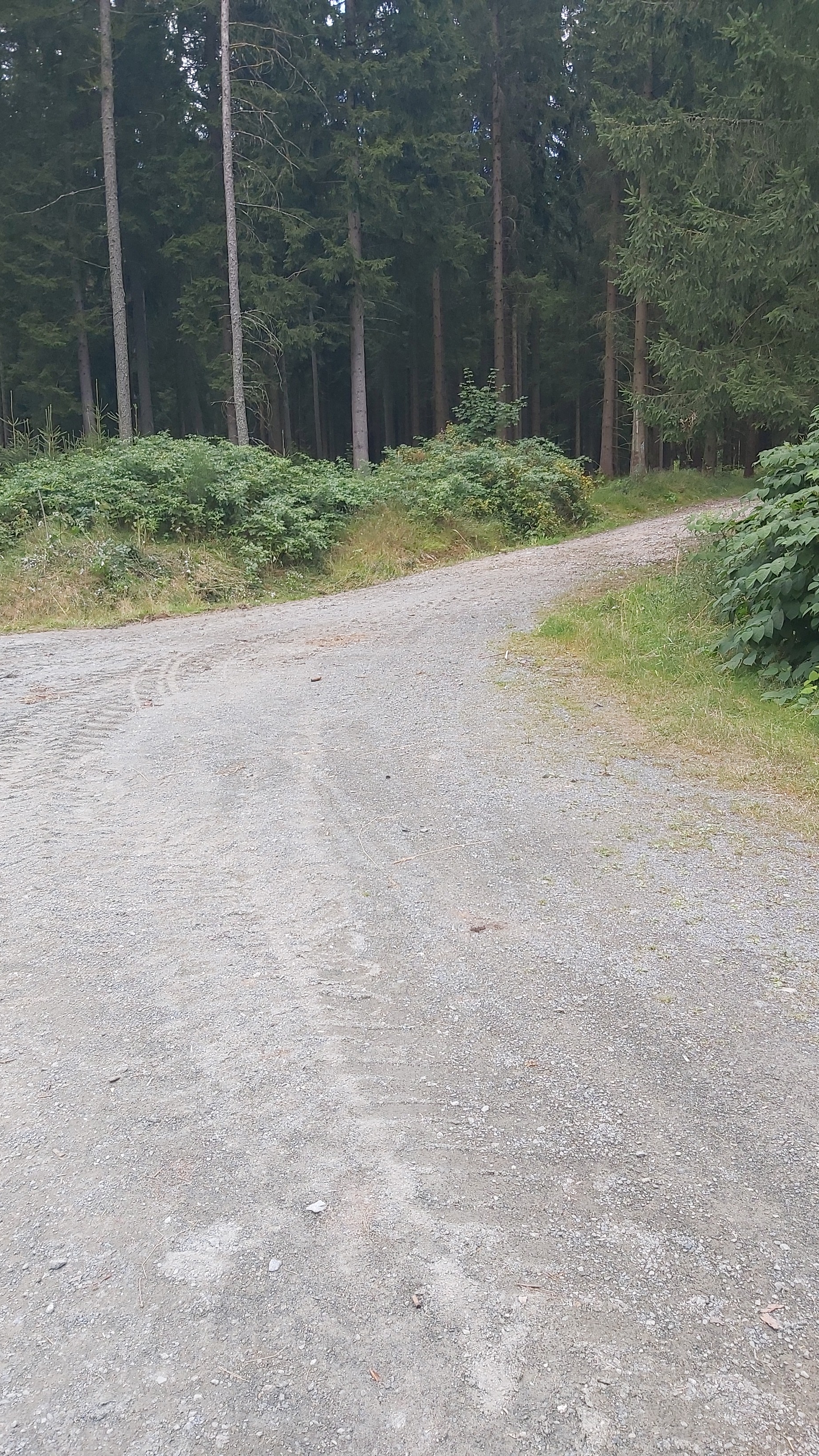 Schöner Blick nach Schöner Blick