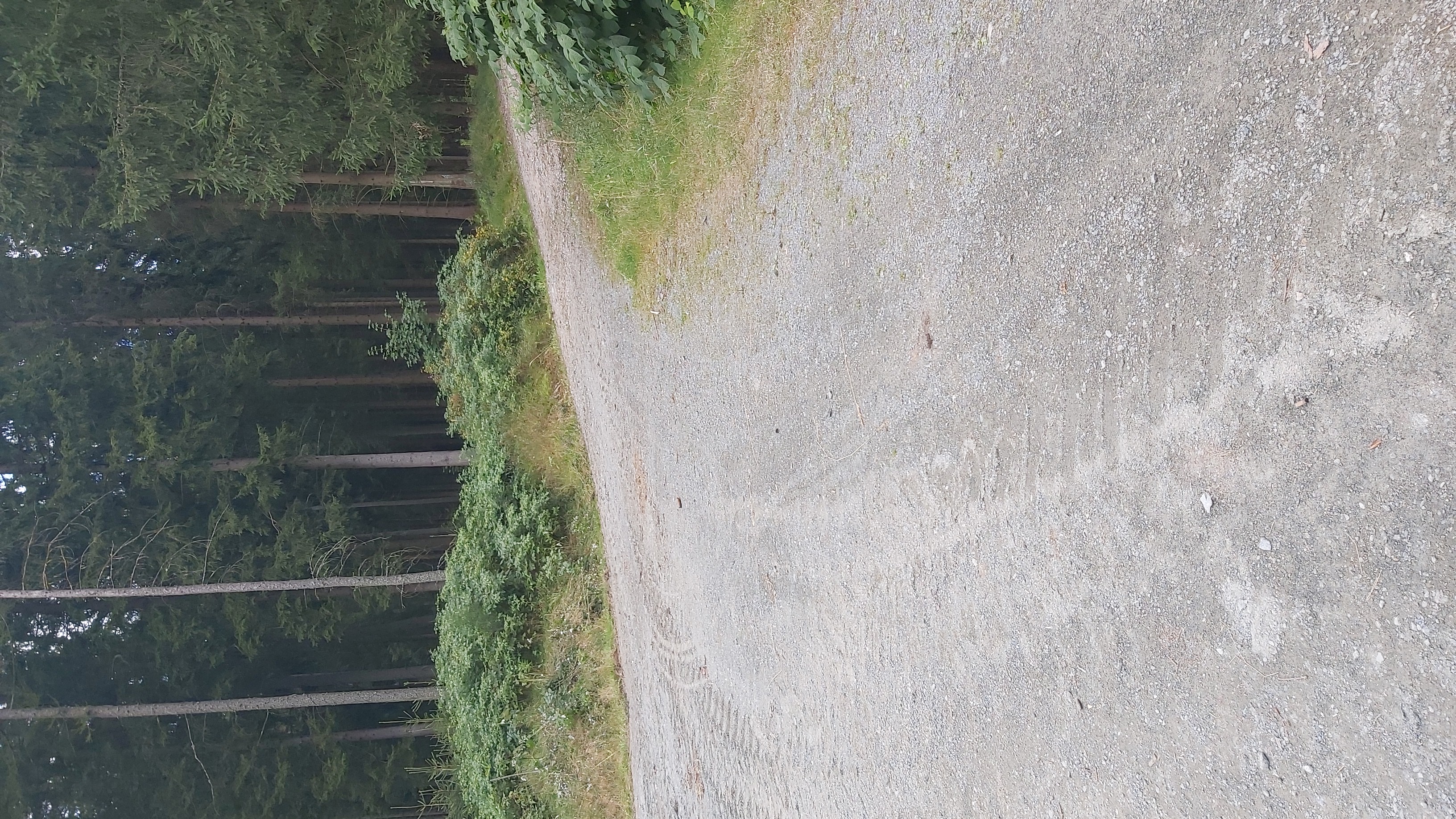 Schöner Blick nach Schöner Blick