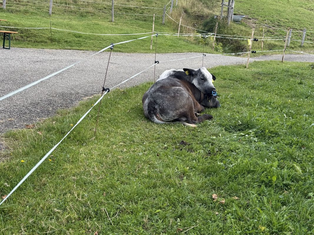 Hochbühlstraße, Oberstaufen nach Immenstädter Straße, Oberstaufen