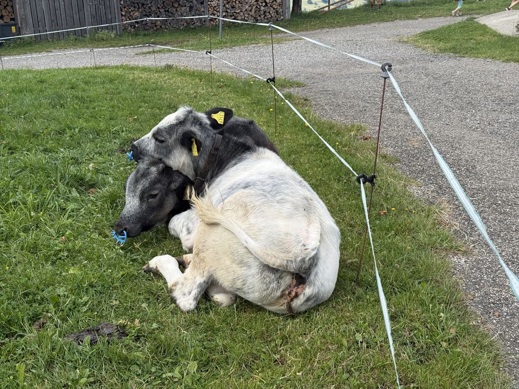Hochbühlstraße, Oberstaufen nach Immenstädter Straße, Oberstaufen