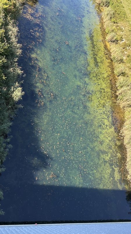 Michalská, Bratislava I nach Pribinova, Bratislava I