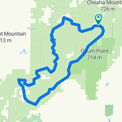 Cheaha Road ~ Cheaha Road