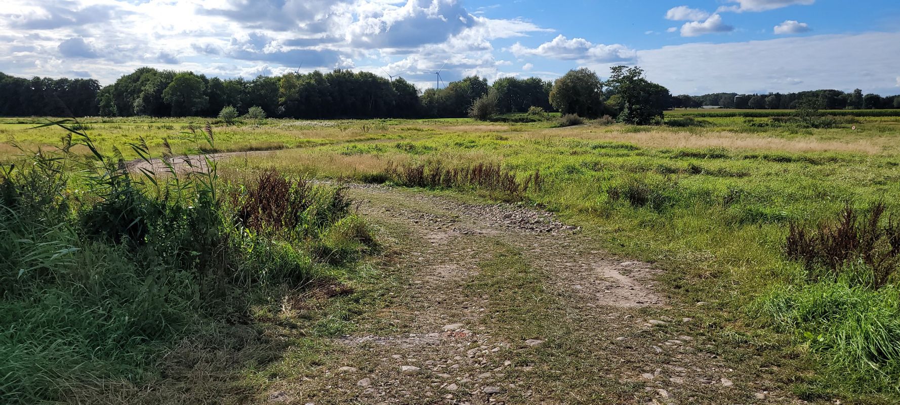 Schlechte Wege Tour...