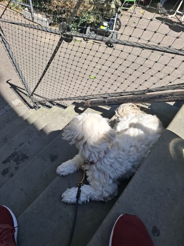 Friedenstraße nach Friedenstraße