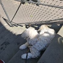 Friedenstraße nach Friedenstraße