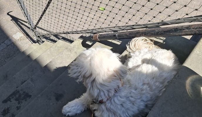 Foto 1 del percorso Bikemap "Friedenstraße nach Friedenstraße" Foto 1 del percorso Bikemap "Friedenstraße nach Friedenstraße"