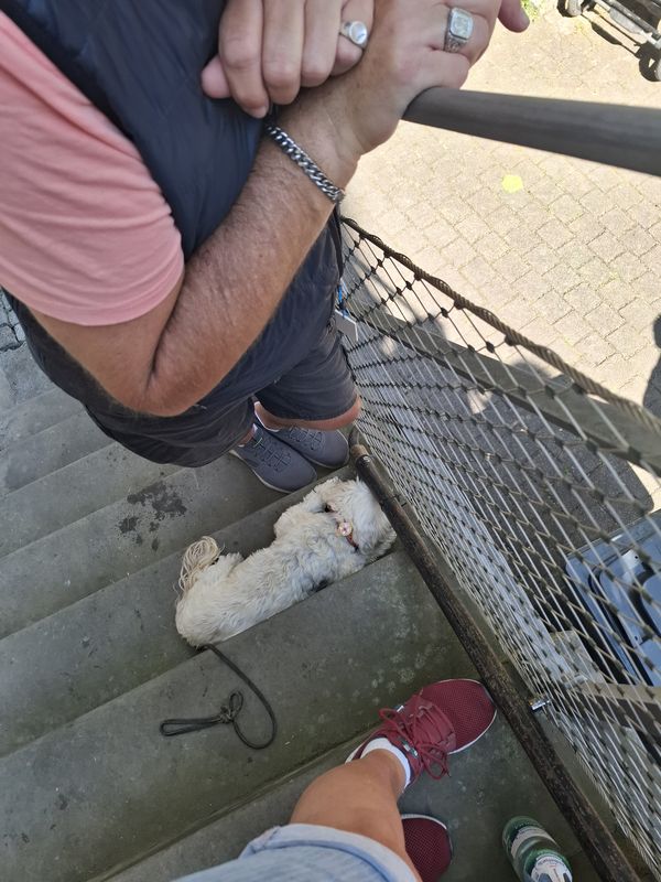 Friedenstraße nach Friedenstraße