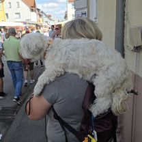 Foto 7 del percorso Bikemap "Friedenstraße nach Friedenstraße" Foto 7 del percorso Bikemap "Friedenstraße nach Friedenstraße"