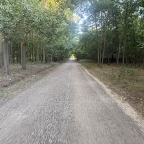 Photo 8 of the Bikemap route "Mizsei út, Cegléd - Mizsei út, Cegléd"
