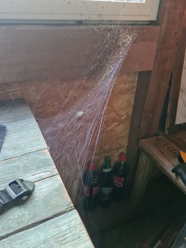 Ettlingen-Weingarten-PBurg