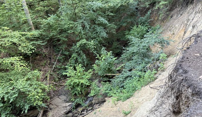 Foto 1 de la ruta de Bikemap "Wieża"