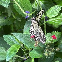Seeuferstraße nach Plett.