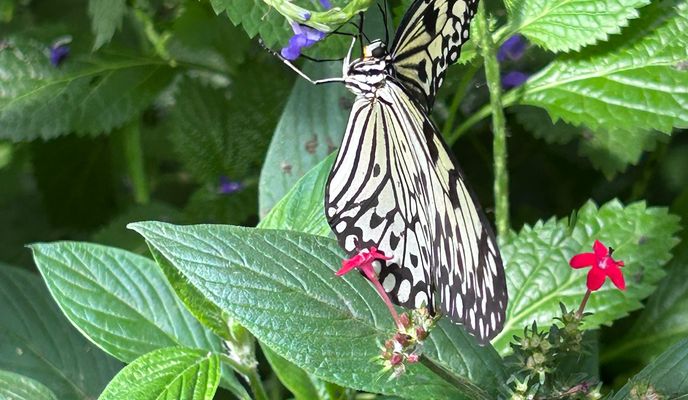 Foto 1 de la ruta de Bikemap "Seeuferstraße nach Plett." Foto 1 de la ruta de Bikemap "Seeuferstraße nach Plett."