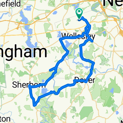 Albion Rd, Wellesley Hills to Albion Rd, Wellesley Hills