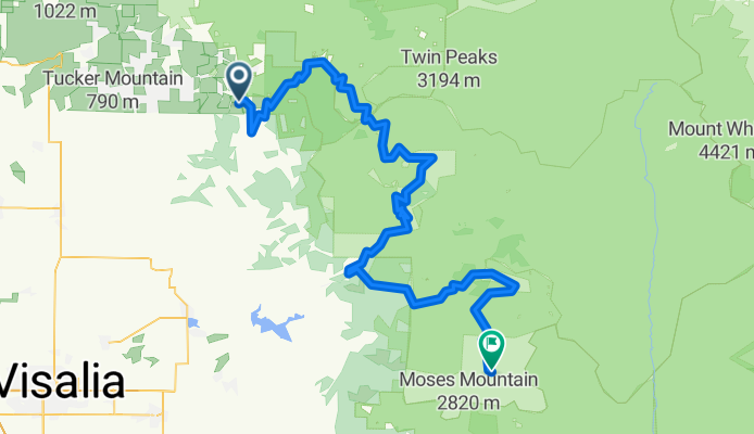 Stage 8