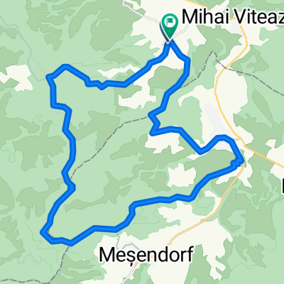 Szaszfoldi Tabor rovid kor