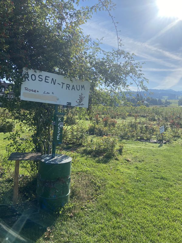 Tösstalstrasse, Wetzikon ZH nach Schlossbergstrasse, Rüti ZH