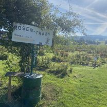 Tösstalstrasse, Wetzikon ZH nach Schlossbergstrasse, Rüti ZH