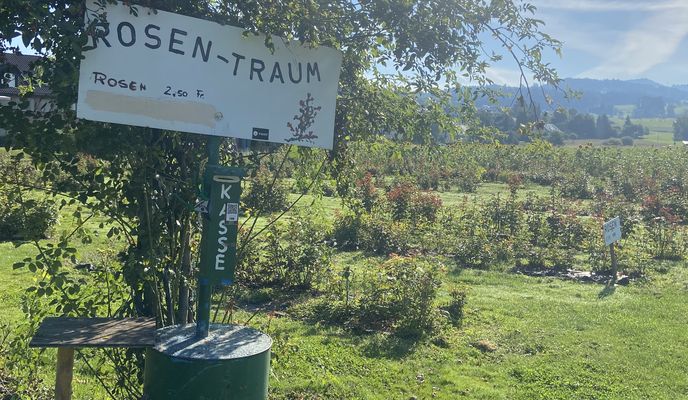 Foto 1 der Bikemap-Route "Tösstalstrasse, Wetzikon ZH nach Schlossbergstrasse, Rüti ZH"