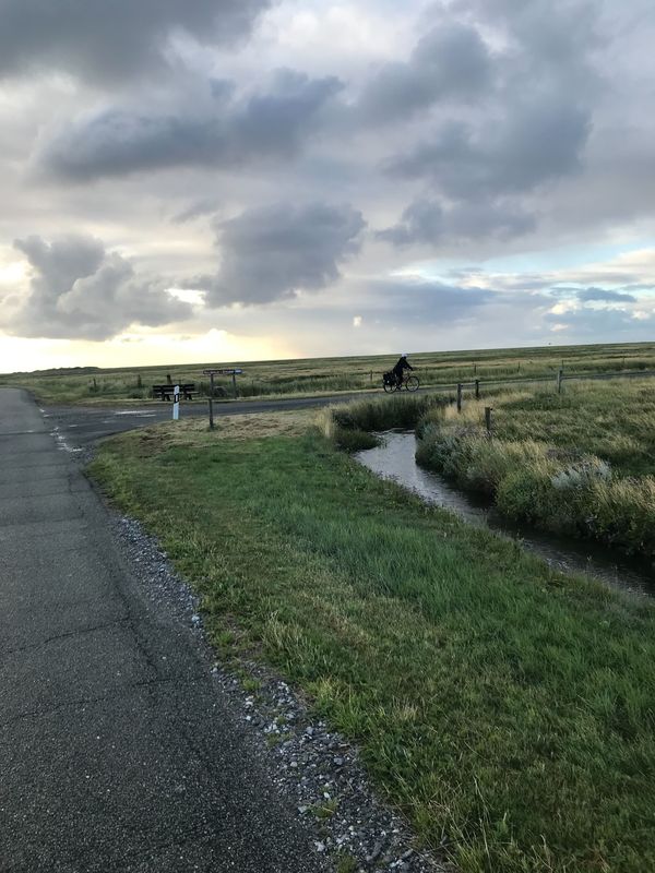 Büsum to Langeness