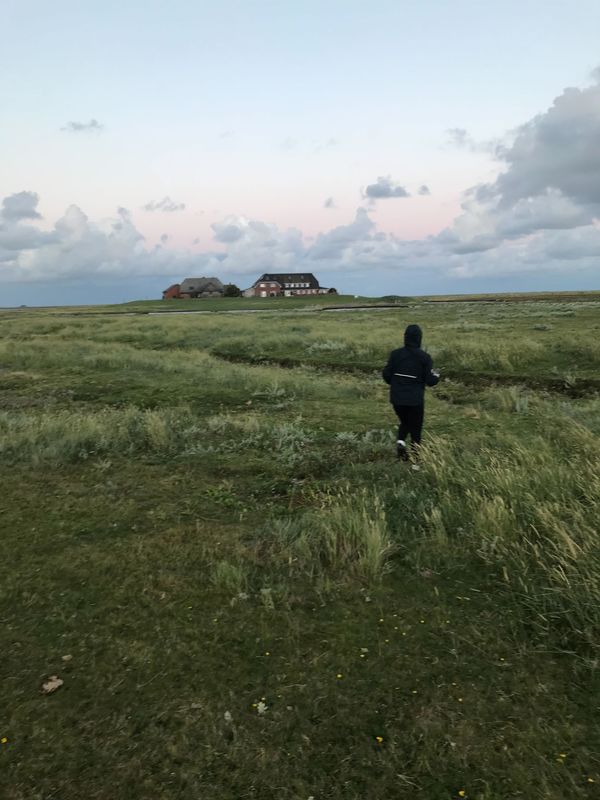Büsum to Langeness