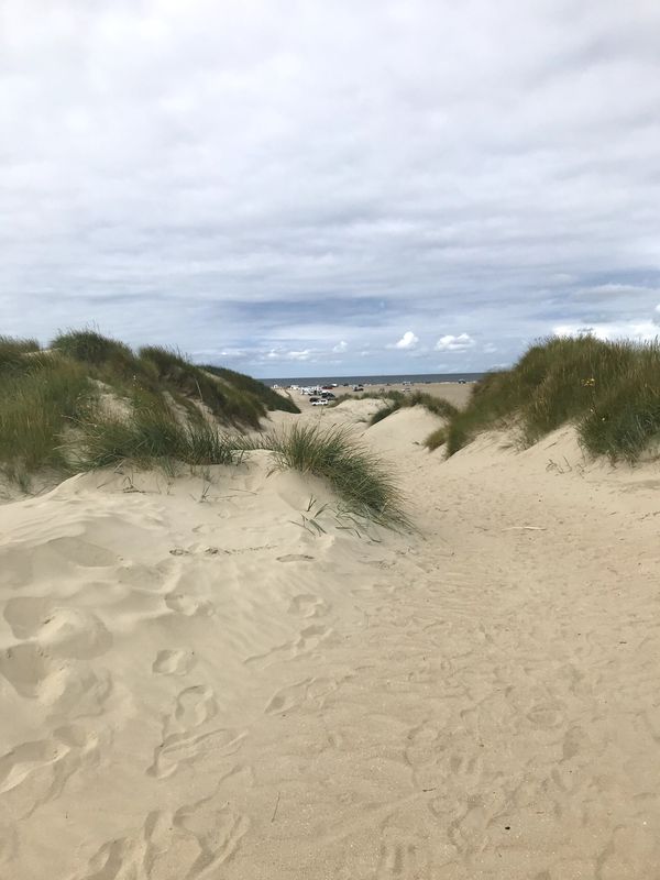 Langeness to Rømø