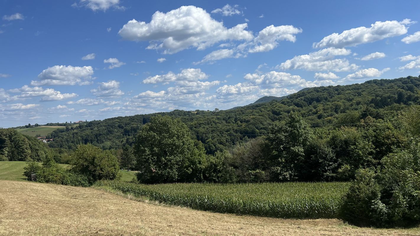 Obergiem, Feldbach nach Eder-Niederlweg, Feldbach