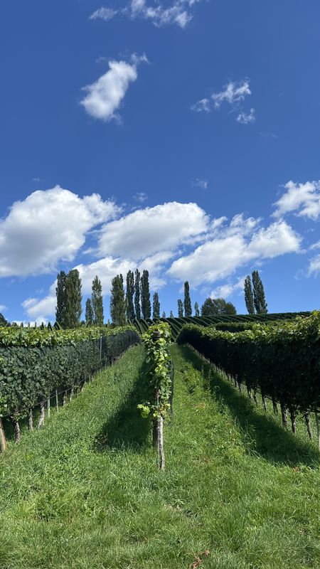 Obergiem, Feldbach nach Eder-Niederlweg, Feldbach