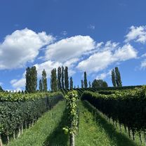 Obergiem, Feldbach nach Eder-Niederlweg, Feldbach