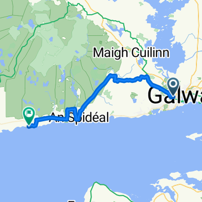 Galway - Barna