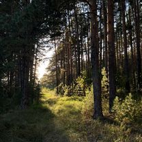 улица Вернадского, Миасс до улица Вернадского, Миасс